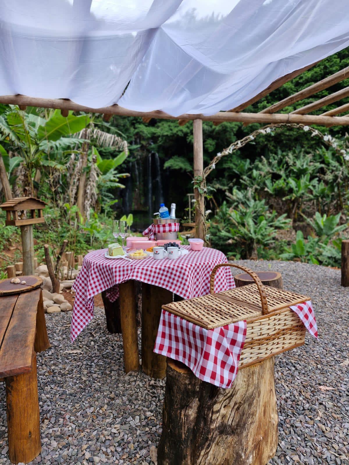 Mesa de piquenique com uma toalha quadriculada branca e vermelha com comida em cima e uma cesta ao lado da mesa.